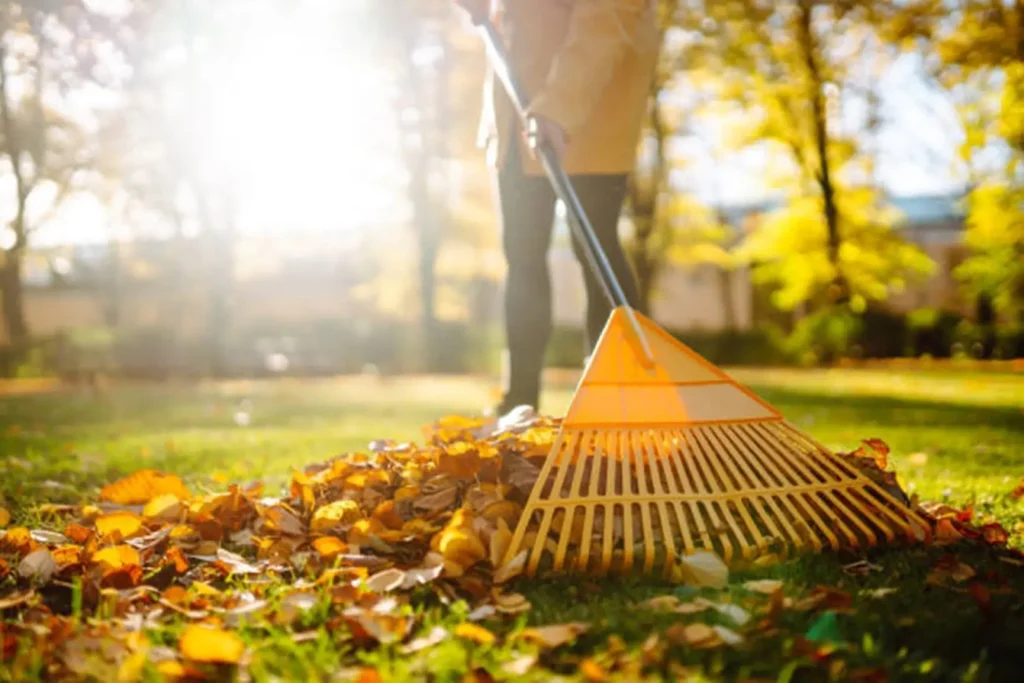 Dārza darbi rudenī, koku ieziemošana