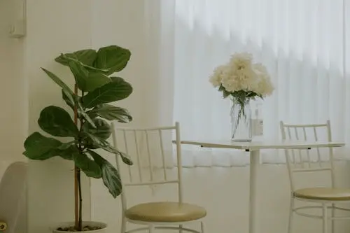 telpaugi, mājas augi, moderns interjers, zaļais interjers, augu dizains, urbānā džungļu stils, viegli kopjami augi, monstera, pothos, zamiokulkas, fokusa augs, dabas elementi mājās, ilgtspējīgs dzīvesveids, mājīga atmosfēra, interjera tendences, augu kopšana, zaļā oāze, skandināvu interjers, dizaina augi, minimālisma interjers